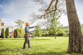 Best Tree and Shrub Care  in Byhalia, MS